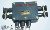 JHH系列防爆通讯电缆接线盒