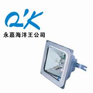 永嘉海洋王防眩灯 NFC9100 防眩棚顶灯