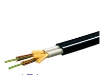 PROFIBUS PA总线电缆6XV1830-5FH10（黑色）
