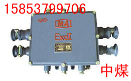 XBT系列矿用隔爆型通讯电缆分线箱 