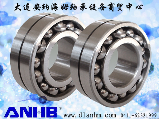 北京INA轴承型号查询