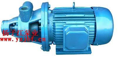 漩涡泵:1W型单级漩涡泵