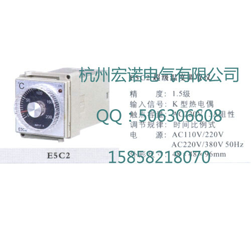 E5C2超级温度调节仪
