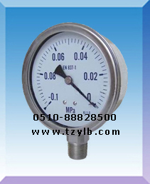耐硫压力表YTU-100S YTU-150S