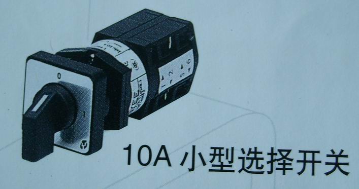 天逸LW42A1 10A选择开关