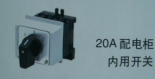 天逸LW42A2P 20A配电柜内用开关