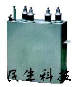 RWF 电热电容器 