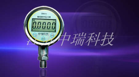 ZR6011精密數(shù)字壓力表