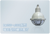 BAD58-e200系列增安型防爆防腐灯（ⅡC）