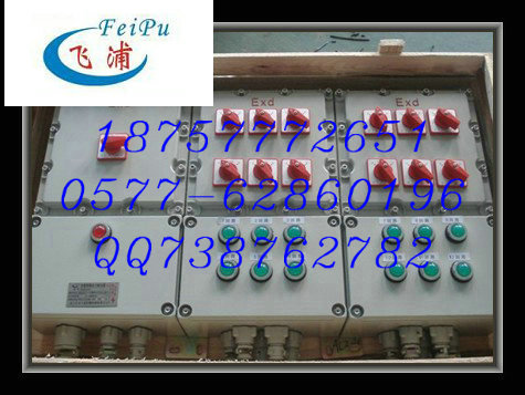 BXMD53防爆照明动力配电箱 BXMD51/BXMD52