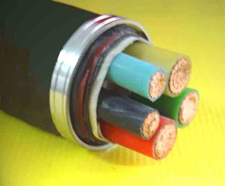 全塑铠装型电力电缆VV22  3*240