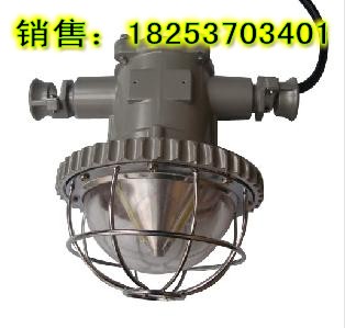 高效节能LED系列DGS18/127L矿用隔爆巷道灯