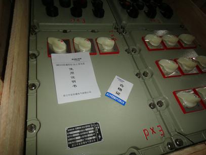BXMDG58防爆照明动力配电箱/防爆照明动力配电箱