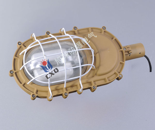 SBD1101-YQL50免维护节能防爆灯