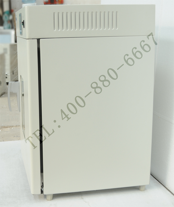 鼓风干燥器 工业干燥箱 空气强制对流干燥箱DHG9145A
