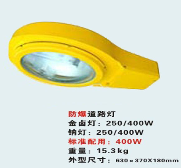 BLC8610 防爆道路灯