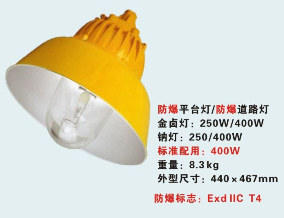 BLC8600 防爆道路灯