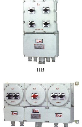 BM/DX□-□L系列防爆照明(动力)配电箱(漏电保护)