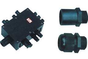 BJX8030系列防爆防腐接线盒(ⅡC)   