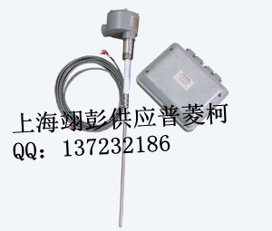 射频导纳物位控制器L3541(分离型)