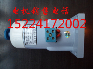 HDZ-30806 HDZ-20806断路器用交直流电动机 