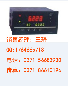HR-WP-XPD805，调节器，温控器，数显表，虹润