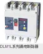 DLM1L系列漏电断路器