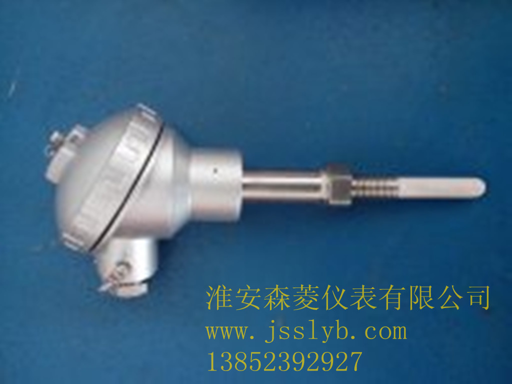热电阻 WZP-035  PT1000   L=1000mm(耐温线)