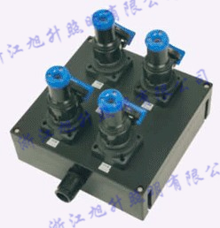 BCX8050防爆防腐电源插座箱