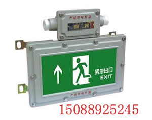 BYY-9/20防爆诱导指示灯