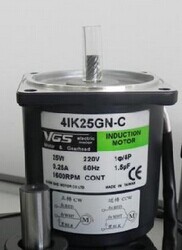 台湾VGS电机4IK25RGN-CT