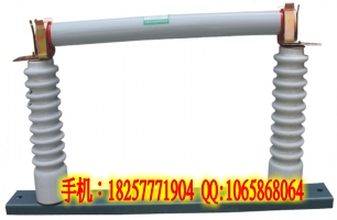  RN2-35KV】RN2-35KV/0.5-10A线路保护高压限流熔断器【福建/津湾报价】