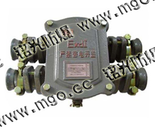 BHD2-100A-4T(660V/380V)-127V煤矿用隔爆型电缆接线盒低压接线盒