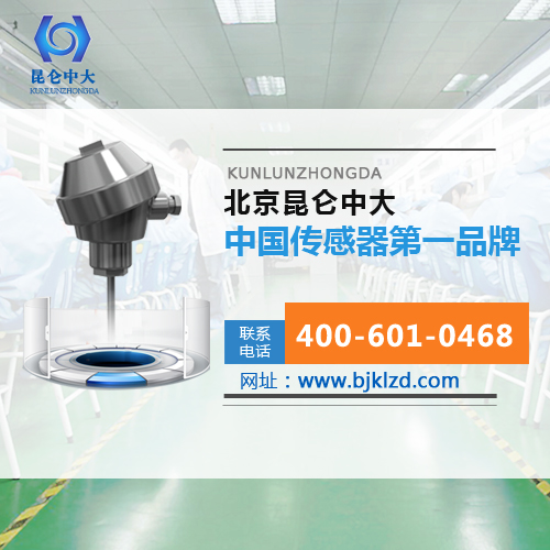温州温度传感器插入式探头厂家，昆仑中大就在您的身边