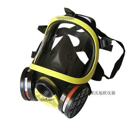 重庆、长寿、涪陵全面罩防毒面具