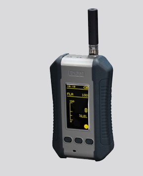 特安便携式气体检测仪ESP210