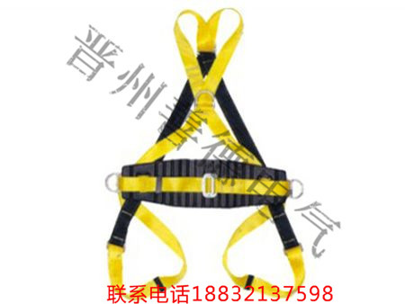 河南銷(xiāo)售雙掛點(diǎn)交叉式全身安全帶