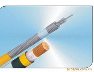 BV16平方电线 家用电线电缆 单芯BV16平方电线 电缆
