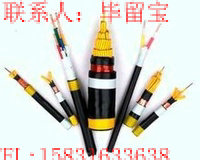 耐高温控制电缆KFF KFV KFFP KFVP