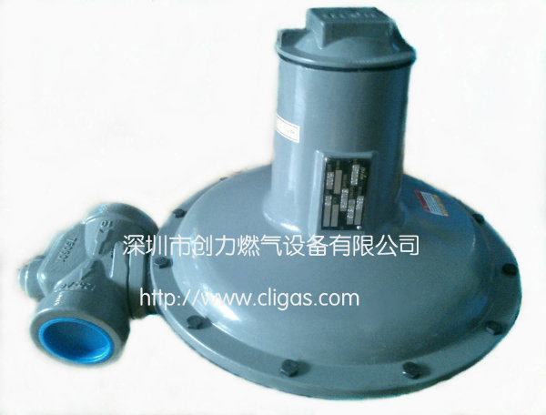 ITRON燃气阀B34NB34R天燃气调压阀图1