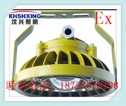 100W节能led防爆灯，泛光灯