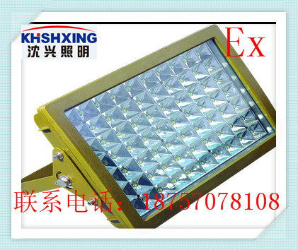 加油站led防爆灯100W