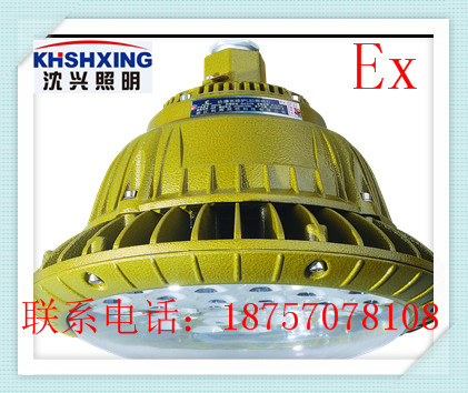 80Wled 防爆灯
