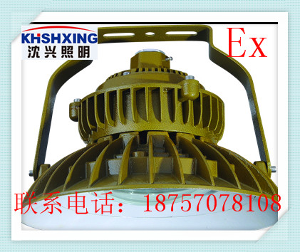 led 矿用防爆灯100w