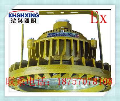 led防爆照明灯，防爆应急灯