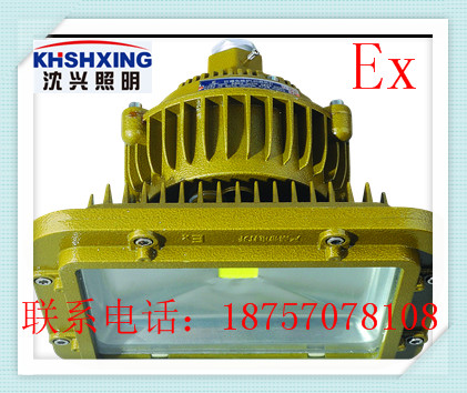 led防爆投光灯100W、70W