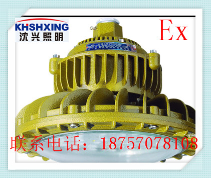 圆形30w40wled防爆灯