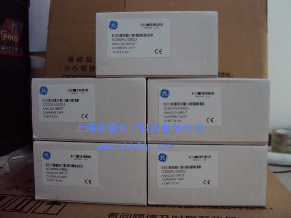 IC200ALG262