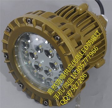走廊led防爆吊灯10w,面粉厂led防爆灯20w