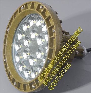 原料仓库粉尘防爆灯,仓库厂房用防爆灯60w